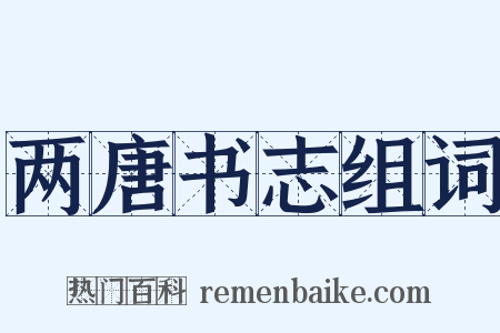 两唐书志组词是什么意思的图片